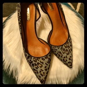 Blue leopard pumps